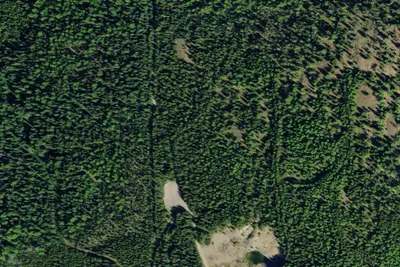 Rd 4424 Site 2
