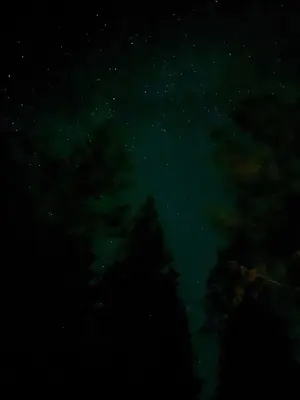 Beautiful night sky