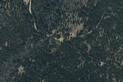Fork