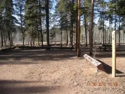 Timberline Campground