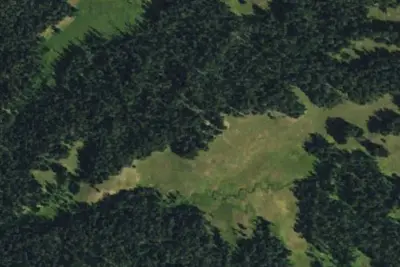 Camp site