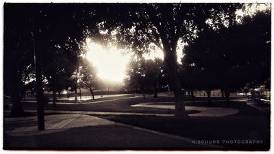 Morning in the Park 2017-06-26 01-06-53 (34732806563)