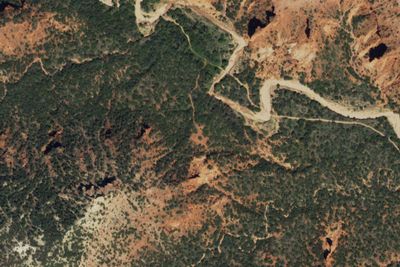 South Prong Primitive Camping Area