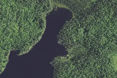 Nigh Lake Site 1