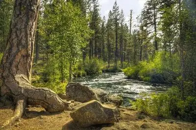 Lower Canyon Creek Campground