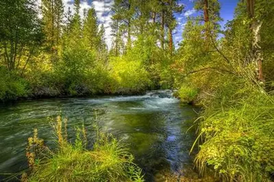 Lower Canyon Creek Campground