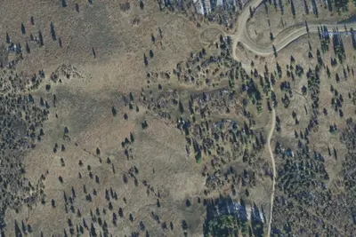 Camp site
