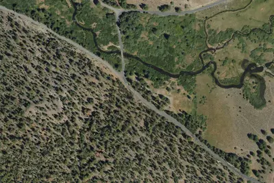 Dairy Point Campground