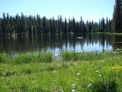 Juniper Lake Preview