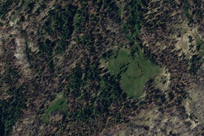 Gotchen Creek Meadow