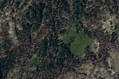 Gotchen Creek Meadow