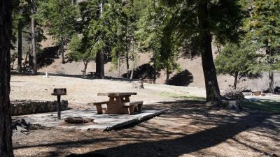 Apple Tree Campground