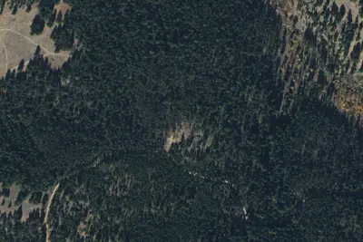 Stumps