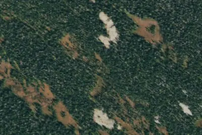 Camp site