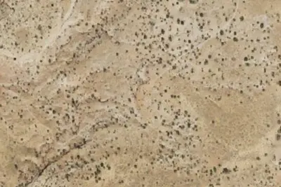 Camp site