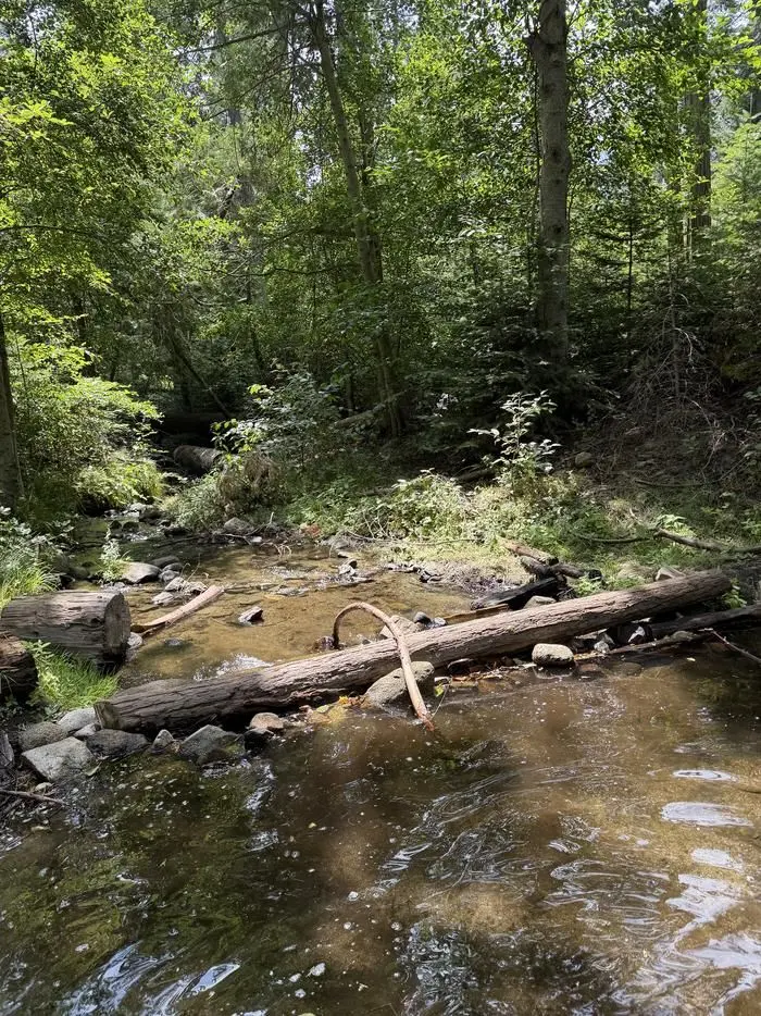 A photo of facility ESHOM CAMPGROUND with Waterfront