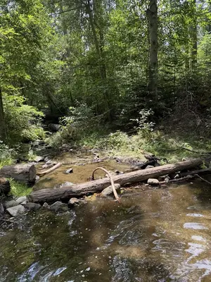 Eshom Campground