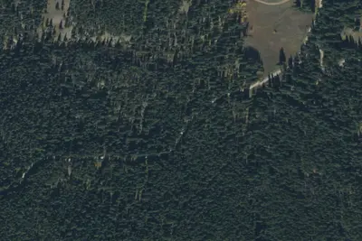 Bear Creek Road-005