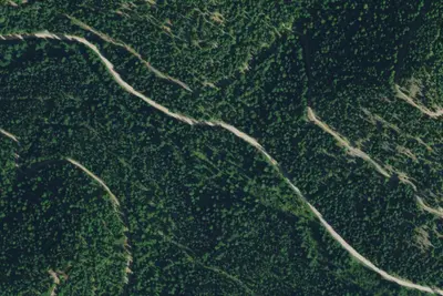 Road Side Drive