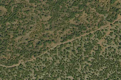 Camp site