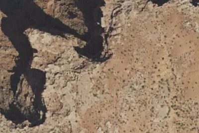 Designated Campsite