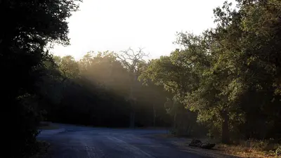 Campground Sunrise Guadalupe River State Park Texas 2023