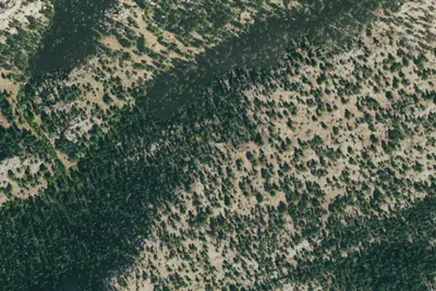 Camp site