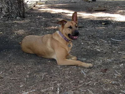 Kelly's Camp overnight (9229601059)