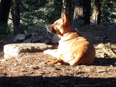 Kelly's Camp overnight (9229654293)
