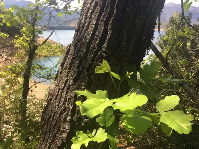 Views from Fishermans Trail