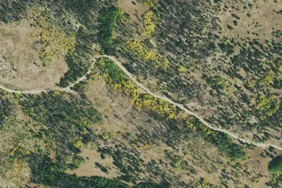 Camp site