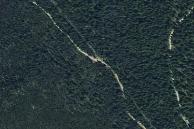 Lower Boulder Creek-003