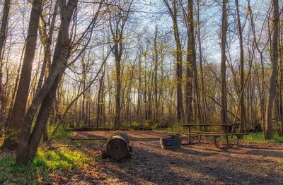 Spring at Nerstrand Big Woods State Park Campground - Minnesota (47924586791)