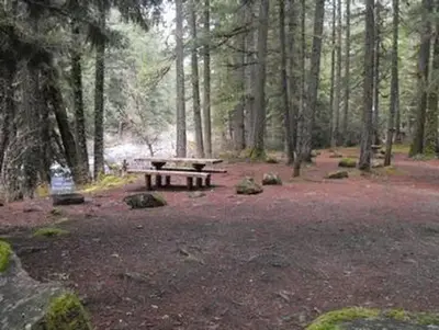 Olallie on mckenzie highway