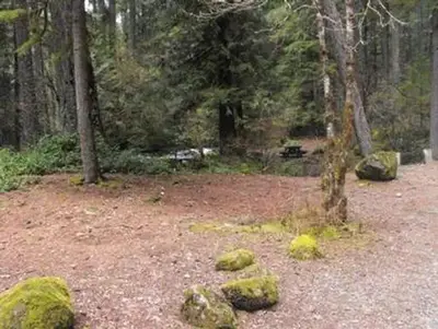 Olallie on mckenzie highway