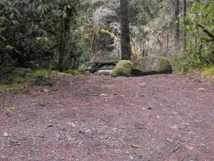 Olallie on mckenzie highway