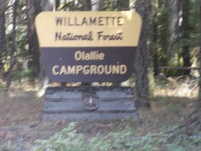 Olallie on McKenzie Highway - Willamette (OR)