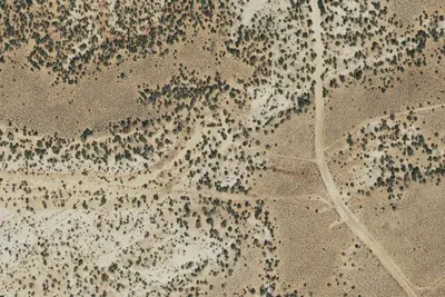 Camp site
