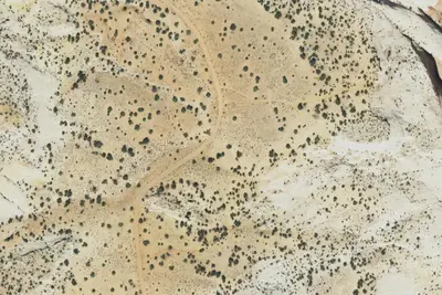 Camp site