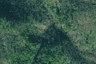 Camp site