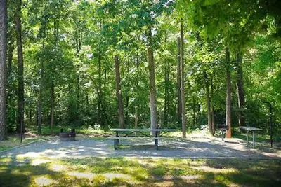 Canebrake horse campsite