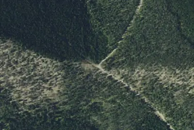 Blacktail Rd 4171 006