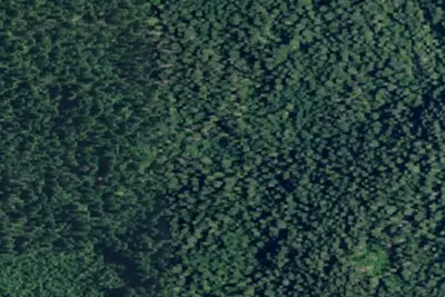 Rd 413 Site 12