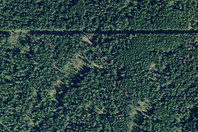 Pnt03 Tr92 Campsite A