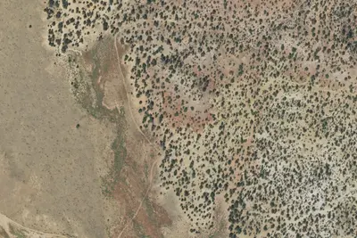 Camp site