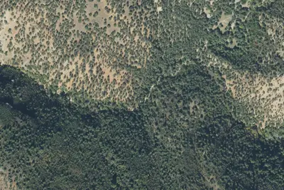 Camp site