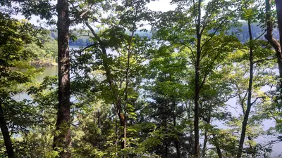 Dickson Township, MI, USA - panoramio