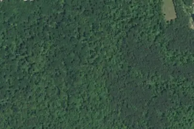 Camp site
