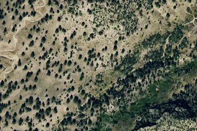 Little Medano Campsite