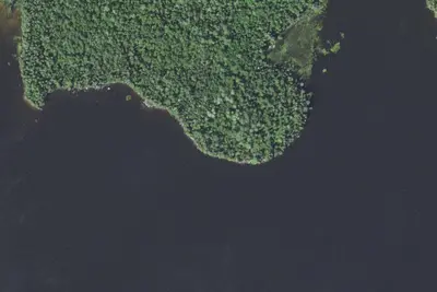 Lake Jeanette Site 9